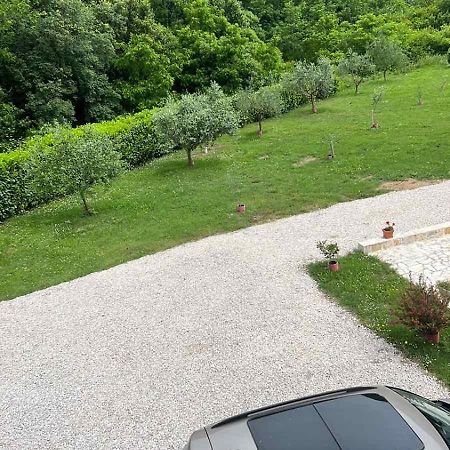 Apartment Elena Tivat Exterior photo